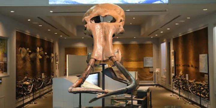 相模原市立博物館