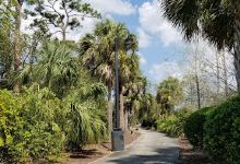 Long Pine North Greenway景点图片