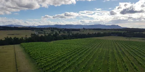 Lucy's Run Wines