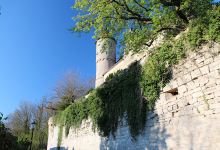 Burg Möckmühl景点图片