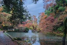 加茂山公园景点图片