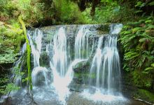 Waipohatu Waterfall景点图片