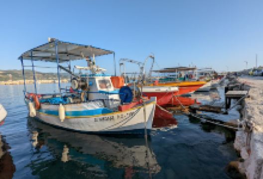 Sea Turtle View景点图片