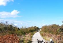 Limerick Greenway Abbeyfeale景点图片