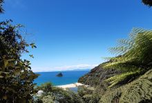 Bark Bay Campsite景点图片