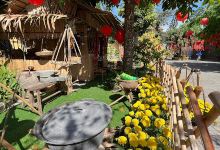 Phuoc An景点图片