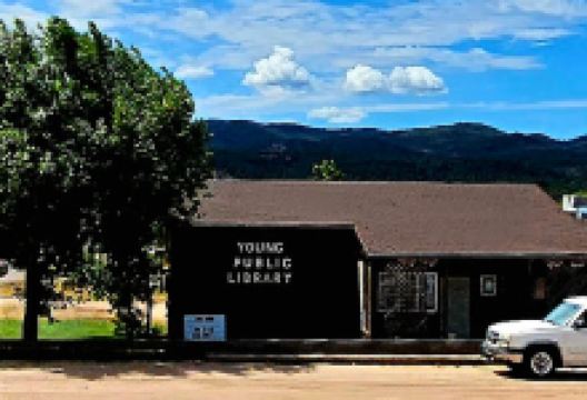 Young Public Library景点图片