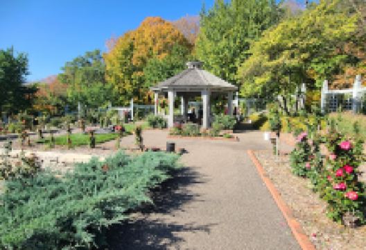 Lake Tamarack | Minnesota Landscape Arboretum景点图片