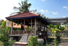 Vanda Garden by Rithy景点图片