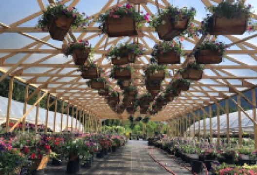 Pemberton Valley Nurseries购物图片