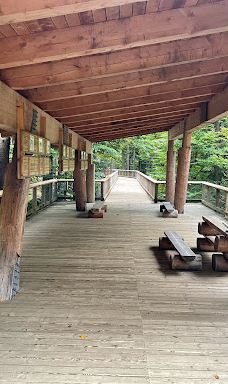 Vlčí výběh Srní (podívání zvenku)-斯尼