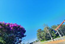 The Big Axe景点图片