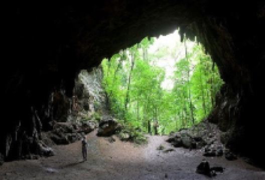 Cueva de la Quebrada El Toro National Park景点图片