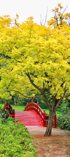 卧龙岗植物园-Keiraville