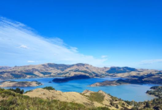 Thomson Park Scenic Reserve景点图片
