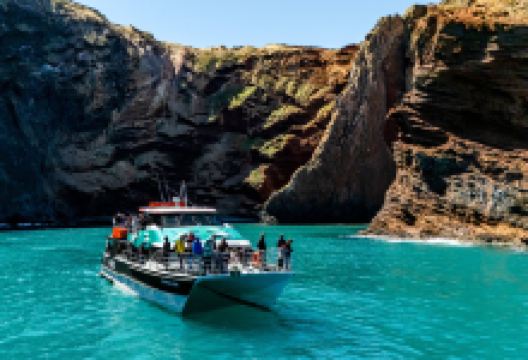 黑猫号游艇观海豚之旅景点图片