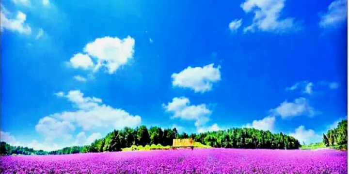 鳳凰塘橋香薰山谷