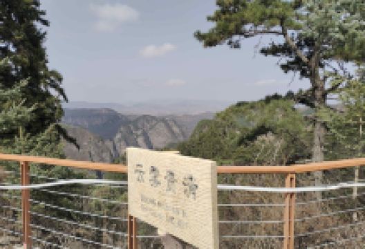 云雾贵清购物图片