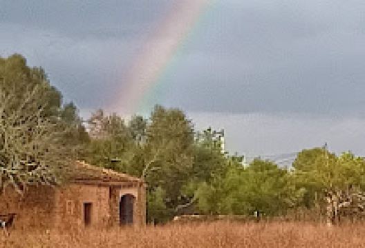 Be Green Garden Design购物图片