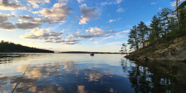 Kabetogama State Forest