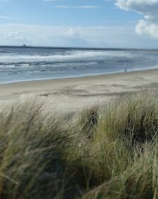 Oregon Coast Beach-纽波特