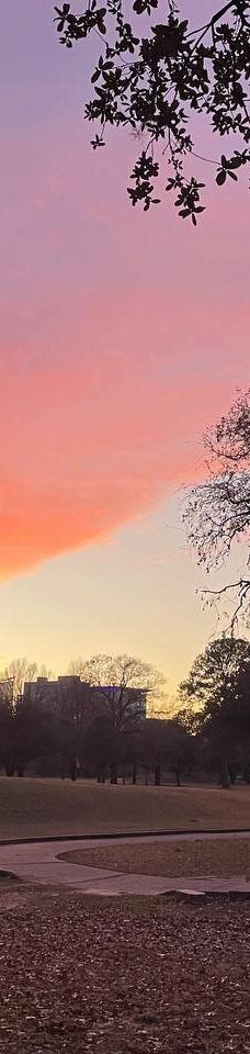 赫曼公园-休斯敦