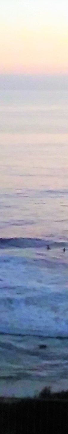 Salt Creek Beach-达纳点