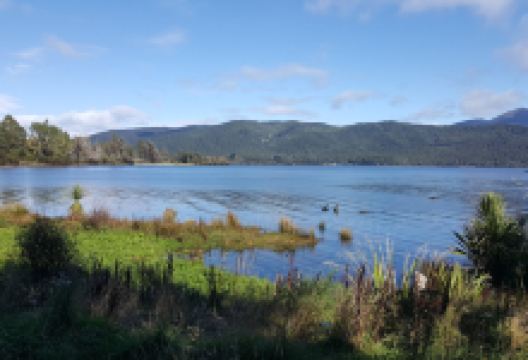 蒂阿瑙鸟类保护基地景点图片