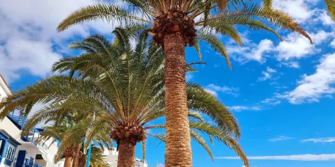 El Charco de San Gines