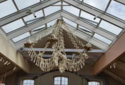 Tom Tits Experiment景点图片