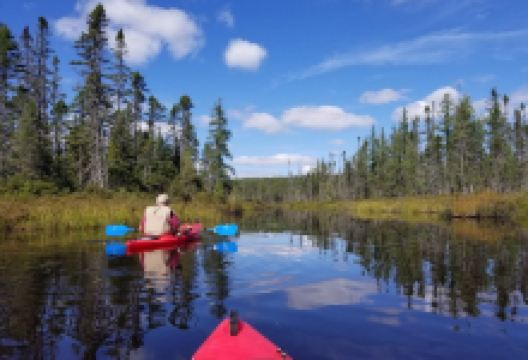 Lake Francis State Park景点图片