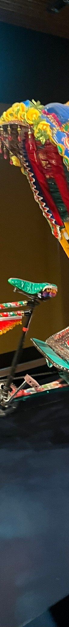 曼彻斯特博物馆-曼彻斯特