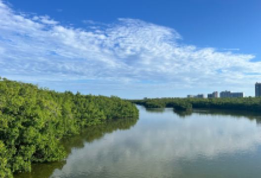 Clam Pass Park景点图片