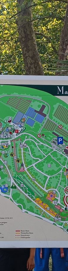 迈瑙岛-康斯坦茨