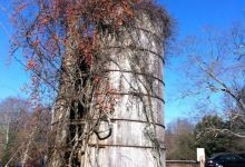 Beardsley's Cider Mill & Orchard景点图片