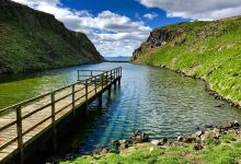 Isle of May National Nature Reserve景点图片