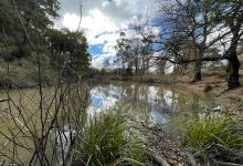 Malmsbury Botanic Gardens景点图片