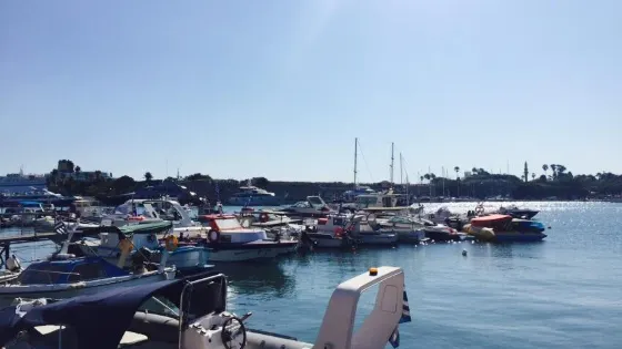 Asteroskoni Made in Kos
