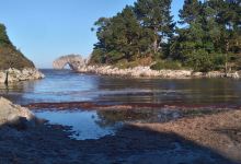 Playa La Huelga景点图片