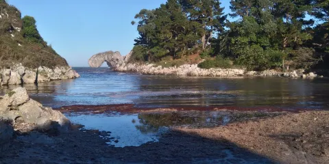 Playa La Huelga