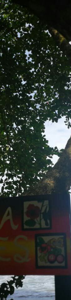 Playa Cocles-Talamanca