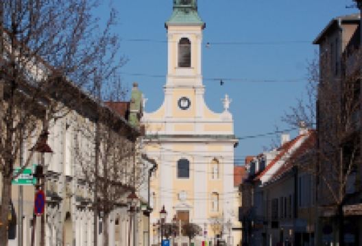 Vorstadtkirche Sankt Leopold景点图片