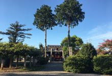 八幡神社景点图片