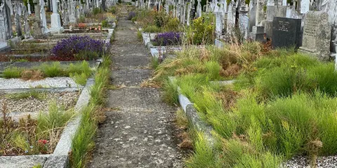 Deansgrange Cemetery
