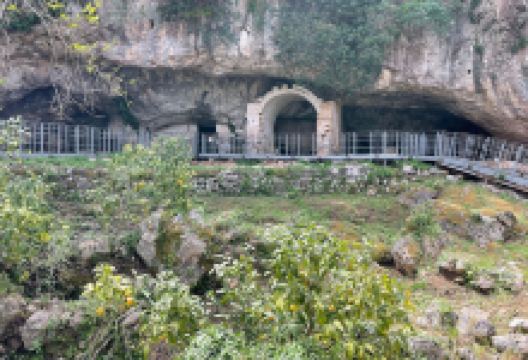 Parco Archeologico e Naturale di Santa Maria di Agnano景点图片