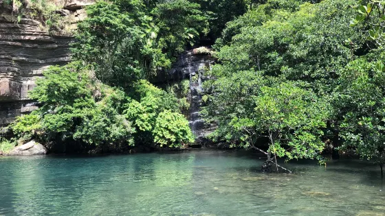 Mizuochi Falls