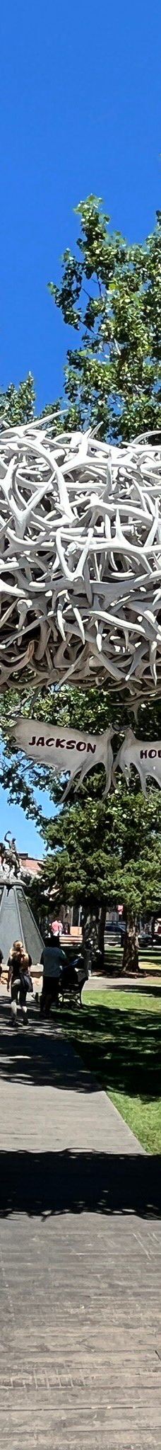 杰克逊鹿角公园-杰克逊