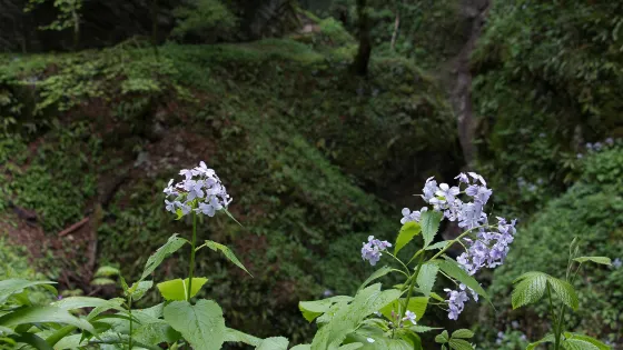 Gorge du Chauderon