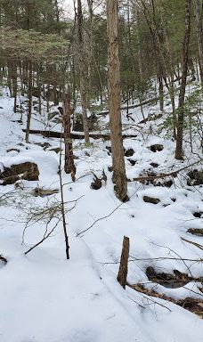 Mount Tom State Reservation-霍利奥克