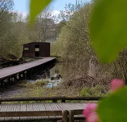 Severn Farm Pond Nature Reserve